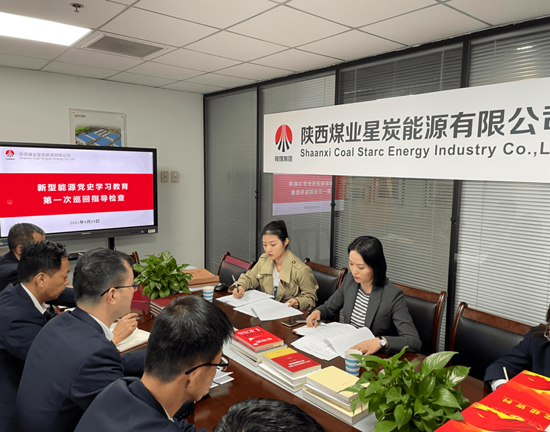 新型能源公司黨史學習教育巡回指導三組到星炭公司督導檢查1.png