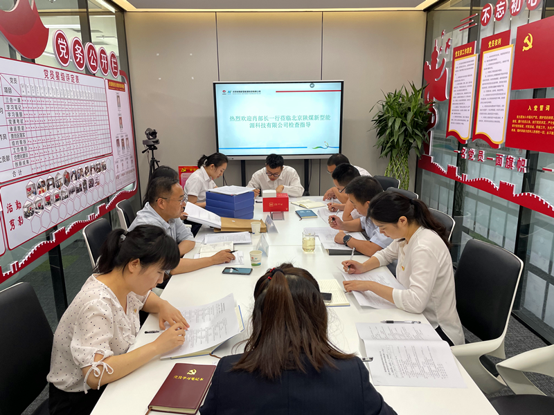 新型能源公司黨史學(xué)習(xí)教育巡回指導(dǎo)二組到北京新能科技公司開(kāi)展督導(dǎo)檢查2.png