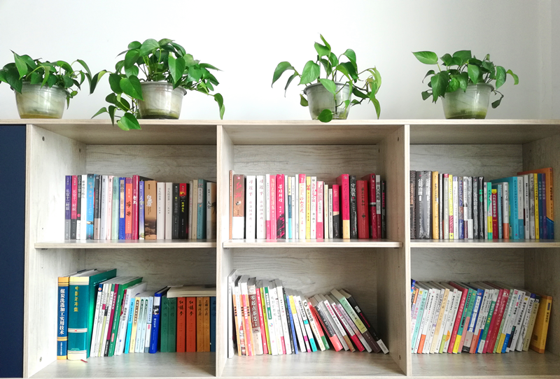 選煤公司：為職工辦實事，架起真情“連心橋”