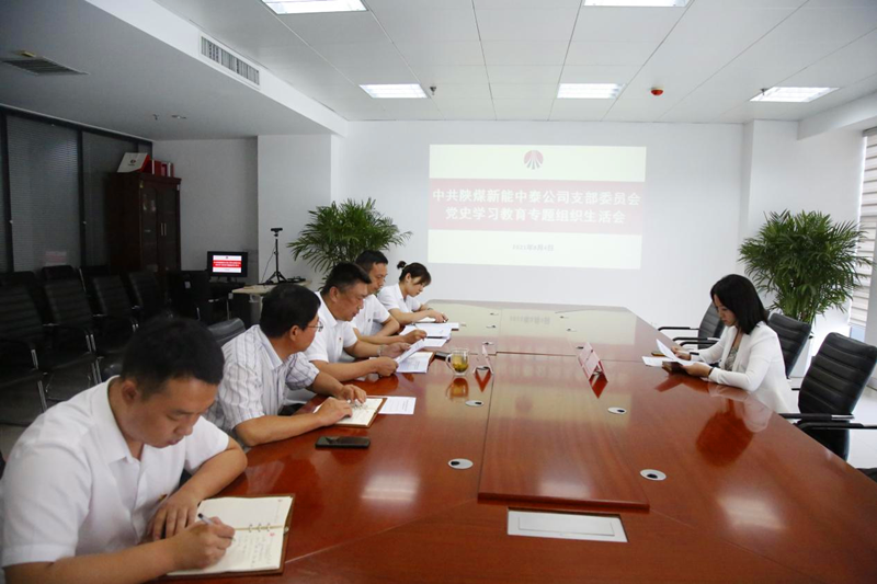 中泰公司黨支部召開黨史學習教育專題組織生活會