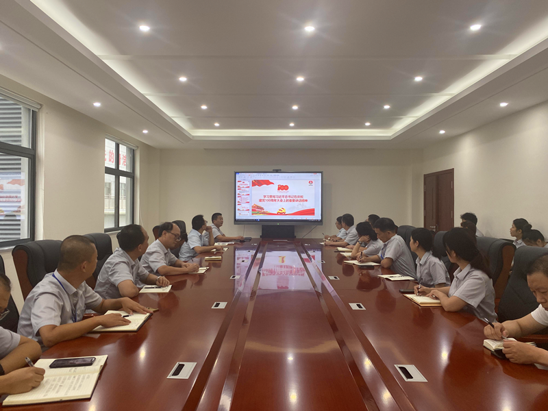 新型能源公司掀起學習貫徹“七一”重要講話精神熱潮