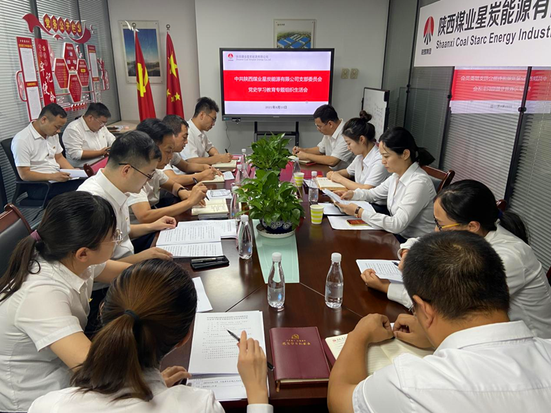 星炭公司黨支部召開黨史學習教育專題組織生活會-配圖.png