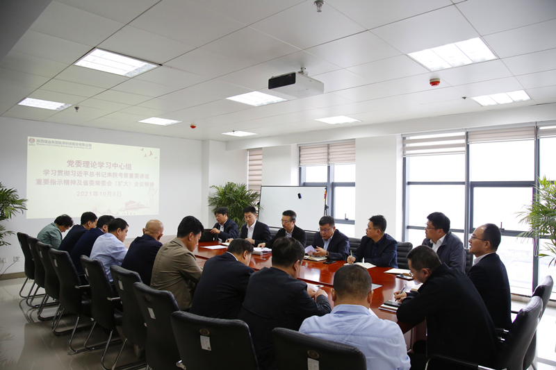 公司黨委召開理論學(xué)習(xí)中心組（擴大）會議專題學(xué)習(xí)習(xí)近平總書記來陜考察重要講話精神