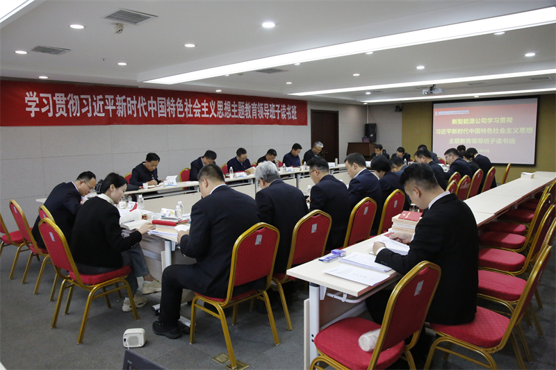 新型能源公司以“四高”舉措深入推進主題教育