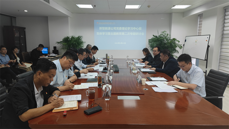 新型能源公司召開黨委理論中心組學習暨主題教育第二次專題研討會