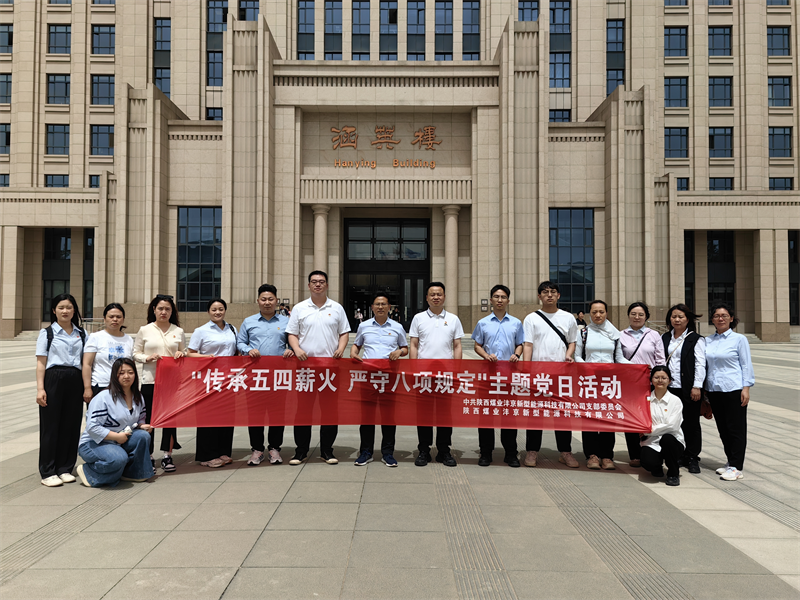 灃京公司黨支部開展“傳承五四薪火 強化作風建設”主題黨日活動01.png