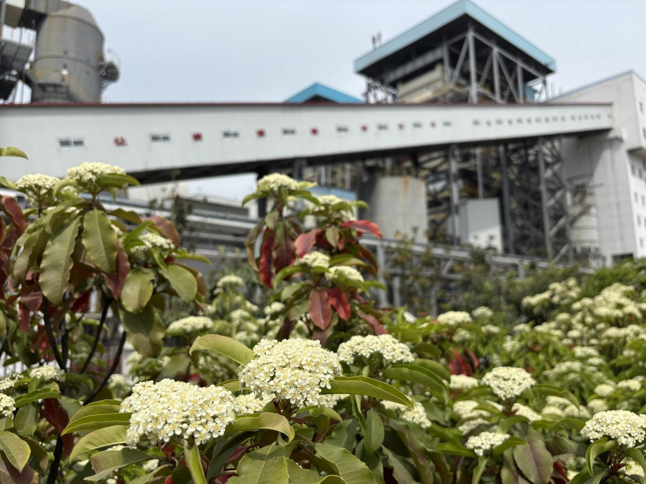 131747101984176327.png 微信圖片_20250513100606.png